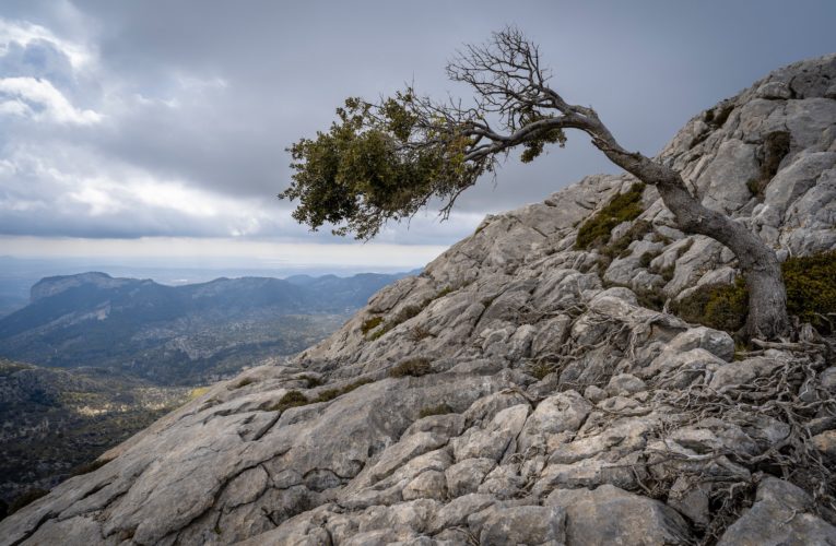 Madrid: The Importance of Resilience in Overcoming Trauma